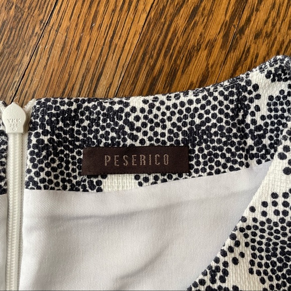 Peserico Italian Shift Dress // Size 42 - Picture 9 of 12